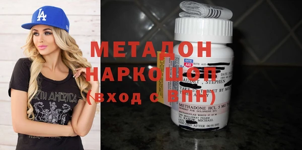 сатива Гатчина