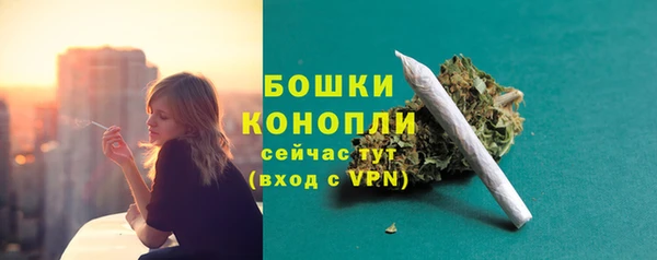 МДПВ Осташков