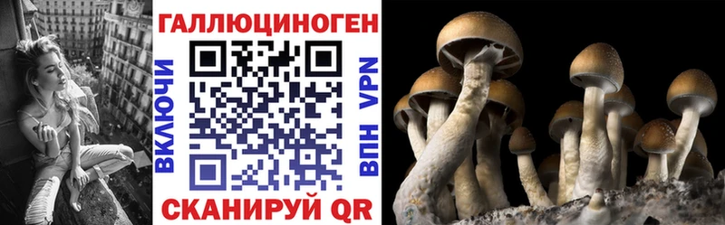 blacksprut ТОР  Полярные Зори  Галлюциногенные грибы мицелий  купить наркоту 