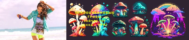 Галлюциногенные грибы Magic Shrooms  наркотики  сайты даркнета какой сайт  Полярные Зори 